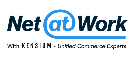 Net at Work logo