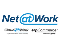 Net at Work logo